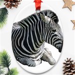 Zebra Ornament (Oval)