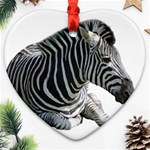 Zebra Ornament (Heart)
