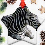 Zebra Ornament (Star)