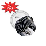 Zebra 1.75  Button (10 pack) 