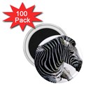 Zebra 1.75  Magnet (100 pack) 