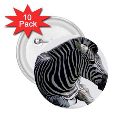 Zebra 2.25  Button (10 pack) from ArtsNow.com Front