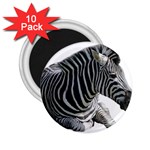 Zebra 2.25  Magnet (10 pack)
