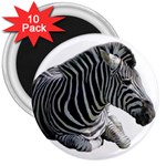 Zebra 3  Magnet (10 pack)