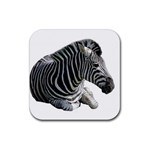 Zebra Rubber Coaster (Square)