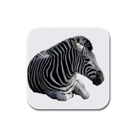 Zebra Rubber Square Coaster (4 pack) from ArtsNow.com Front