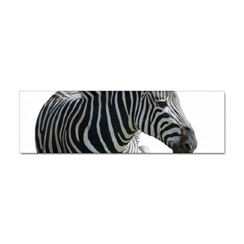 Zebra Sticker (Bumper) from ArtsNow.com Front