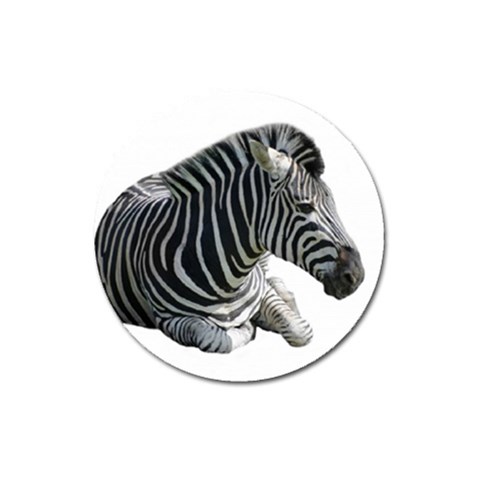 Zebra Magnet 3  (Round) from ArtsNow.com Front