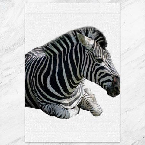 Zebra Canvas 12  x 18  from ArtsNow.com 11.88 x17.36  Canvas - 1