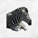 Zebra Canvas 12  x 18 