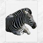 Zebra Canvas 18  x 24 