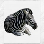 Zebra Canvas 20  x 24 