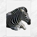 Zebra Canvas 20  x 30 