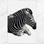 Zebra Canvas 24  x 36 