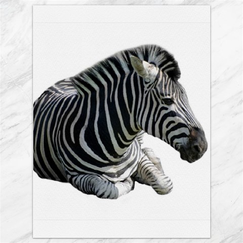 Zebra Canvas 36  x 48  from ArtsNow.com 35.26 x46.15  Canvas - 1