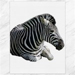 Zebra Canvas 36  x 48 