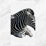 Zebra Canvas 40  x 72 