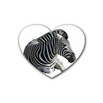 Zebra Rubber Heart Coaster (4 pack)