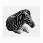 Zebra Small Glasses Cloth (2 Sides)