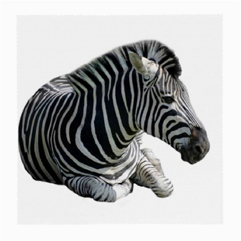 Zebra Medium Glasses Cloth from ArtsNow.com Front