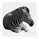 Zebra Medium Glasses Cloth (2 Sides)