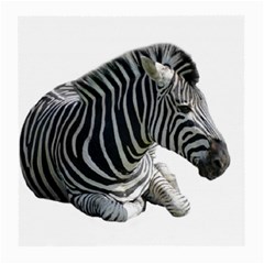 Zebra Medium Glasses Cloth (2 Sides) from ArtsNow.com Back