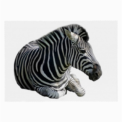 Zebra Large Glasses Cloth from ArtsNow.com Front