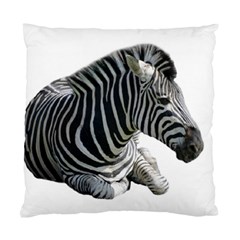 Zebra Standard Cushion Case (Two Sides) from ArtsNow.com Back