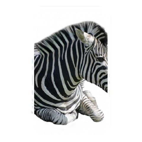 Zebra Memory Card Reader (Rectangular) from ArtsNow.com Front