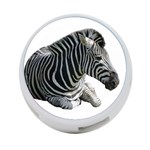 Zebra 4-Port USB Hub (Two Sides)