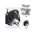 Zebra Playing Cards 54 (Mini)