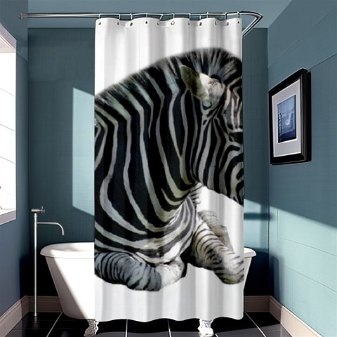 Zebra Shower Curtain 36  x 72  (Stall) from ArtsNow.com Curtain(36 X72 ) - 33.26 x66.24  Curtain(36 X72 )