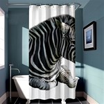 Zebra Shower Curtain 36  x 72  (Stall)