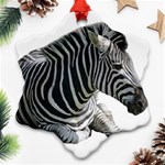 Zebra Ornament (Snowflake)