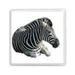 Zebra Memory Card Reader (Square)