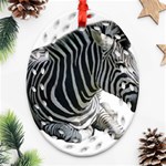 Zebra Ornament (Oval Filigree)