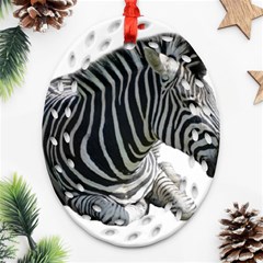 Zebra Oval Filigree Ornament (Two Sides) from ArtsNow.com Back