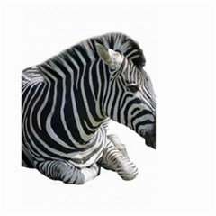 Zebra Small Garden Flag (Two Sides) from ArtsNow.com Back