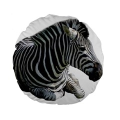 Zebra Standard 15  Premium Round Cushion  from ArtsNow.com Front