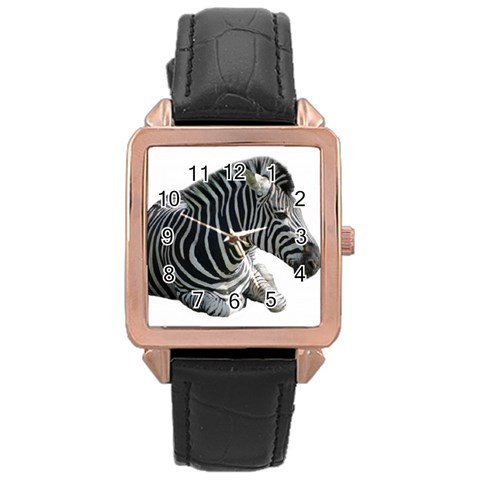 Zebra Rose Gold Leather Watch  from ArtsNow.com Front