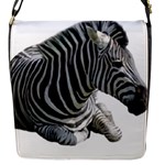 Zebra Flap Closure Messenger Bag (S)