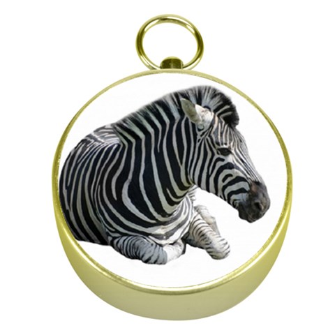 Zebra Gold Compass from ArtsNow.com Front