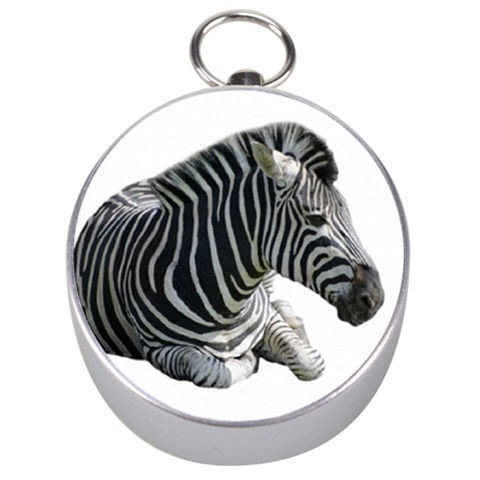 Zebra Silver Compass from ArtsNow.com Front