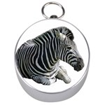Zebra Silver Compass