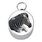 Zebra Silver Compass (Mini)