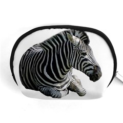 Zebra Accessory Pouch (Medium) from ArtsNow.com Front