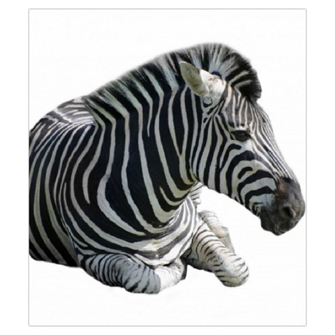 Zebra Drawstring Pouch (Small) from ArtsNow.com Back