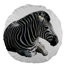 Zebra Large 18  Premium Flano Round Cushion  from ArtsNow.com Back