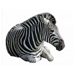 Zebra Double Sided Flano Blanket (Medium)