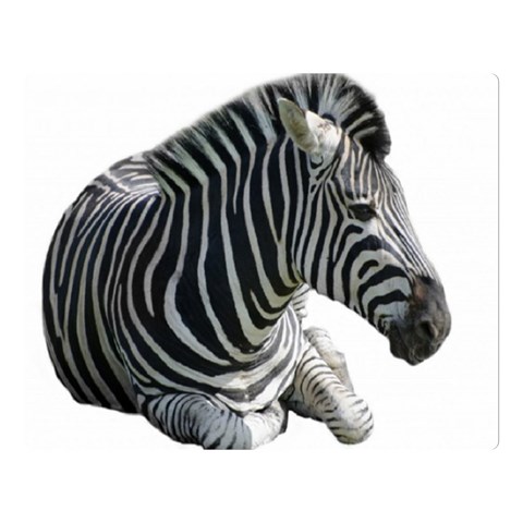 Zebra Double Sided Flano Blanket (Large) from ArtsNow.com 80 x60  Blanket Front